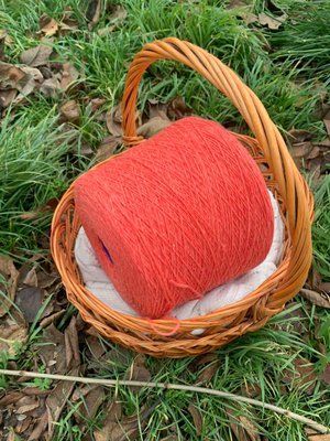 Chiavazza - Zegna Baruffa art. Must Baby Merino 1720 foto